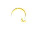 Veloria Coffee